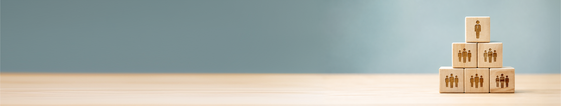 Banner - Estructura Organitzativa