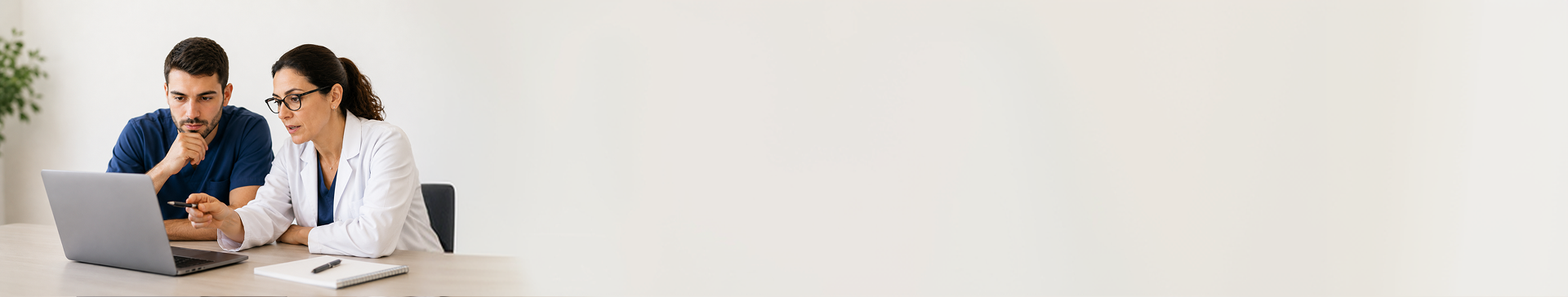 Banner - Docència